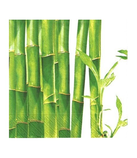 SERVIETTE BAMBOUS