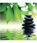 IMAGE 3D ZEN 30X30 DM337836