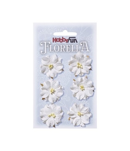 FLEURS BLANCHES X 6