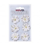 FLEURS BLANCHES X 6