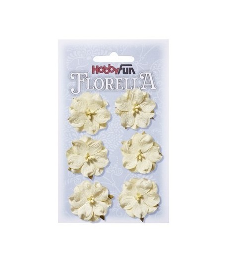 FLEURS CREME X 6