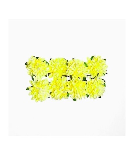 FLEURS DAISY JAUNE X 8