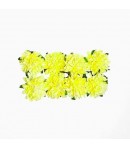 FLEURS DAISY JAUNE X 8
