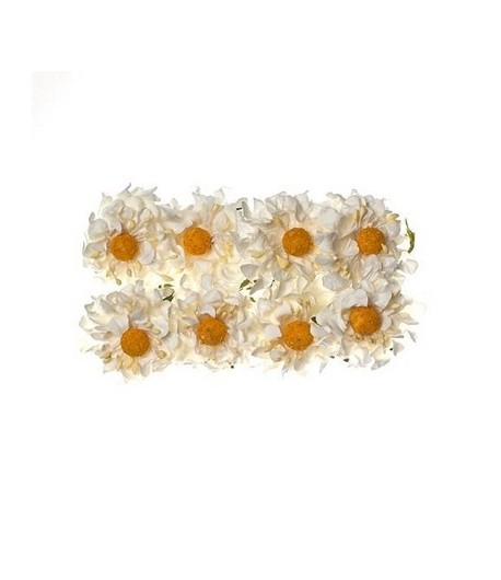 FLEURS CAMOMILLES BLANC X 8